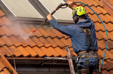Démoussage et hydrofuge de toiture à Néoux